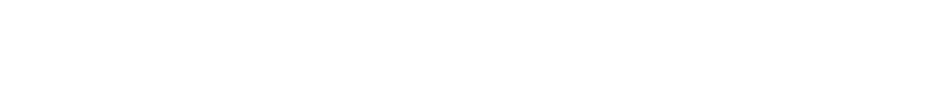 株式会社ステレオリンチ